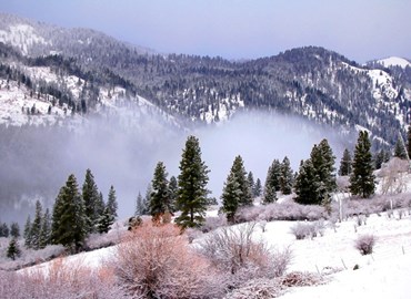 billede vinter.jpg